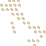 logo-italiahighlights